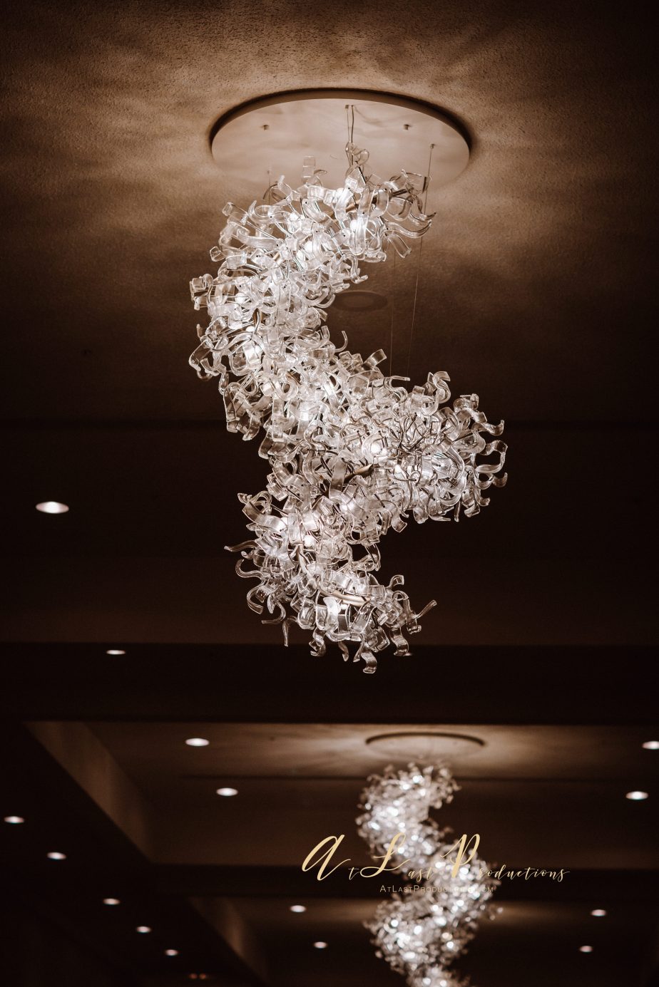 Gaylord_Resort_Nashville_TN-2