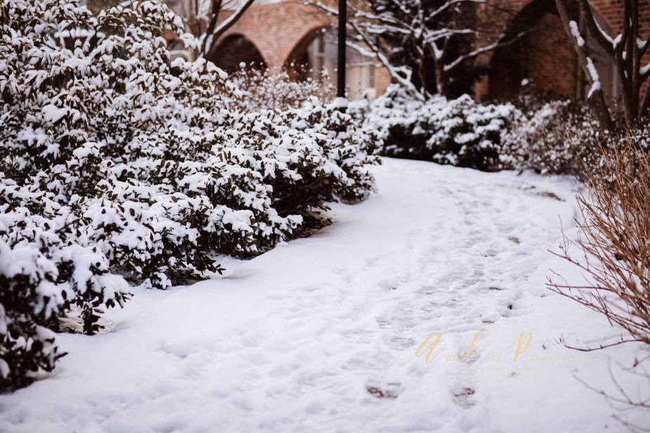 Gaylord_Resort_Nashville_TN-6